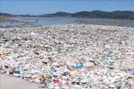 Activo Vietnam en negociaciones sobre acuerdo global de contaminación plástica