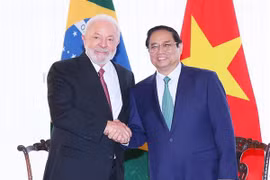 Vietnam y Brasil fomentan amistad tradicional y cooperación