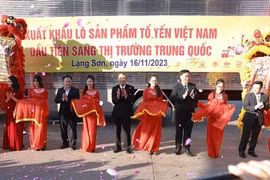 Anuncian la exportación de primeros nidos de golondrina de Vietnam a China