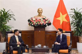 Vicecanciller vietnamita recibe a relator especial de ONU sobre derecho al desarrollo