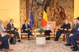 Vietnam y Bélgica refuerzan colaboración para apoyar a víctimas de dioxina