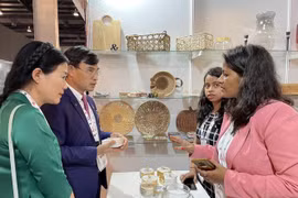 Empresas vietnamitas participan en programa de promoción comercial en India