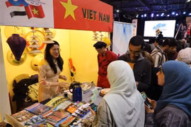  Divulgan imágenes de Vietnam en Festival de Cultura en Egipto