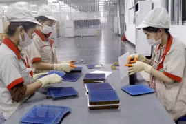 Estados Unidos amplía investigación sobre evasión del impuesto comercial contra productos vietnamitas