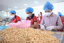 Binh Phuoc registra superávit comercial de 220 millones de dólares en dos meses