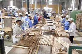 Vietnam por ingresar fondo multimillonario por exportación de madera