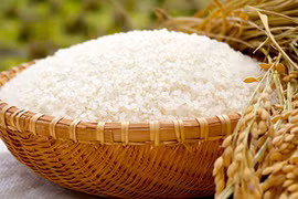 Precios del arroz exportable de Vietnam mantiene tendencia alcista