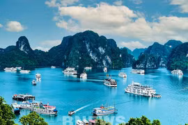 Región surcoreana de Chungcheong mejora cooperación turística con Ha Long