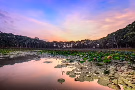 Delta del Mekong reconoce otros dos destinos turísticos típicos