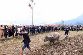 Localidades en el Norte de Vietnam celebran festivales de “ir al campo”