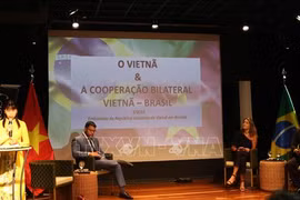 Buscan promover conexión entre empresas de Vietnam y Brasil
