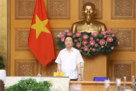 Vietnam por garantizar protección ambiental y desarrollo sostenible