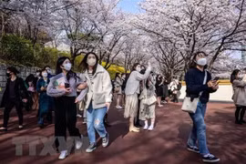 Vietnamitas encabezan gasto de turistas internacionales con tarjeta en Corea del Sur