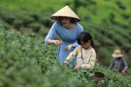 Vietnam por promover turismo agrícola y rural 