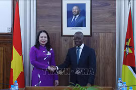 Vicepresidenta vietnamita se entrevista con premier mozambiqueño