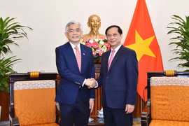 Organizan XV Consulta Política Vietnam-Singapur