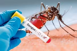 Laos reporta aumento en número de casos de dengue