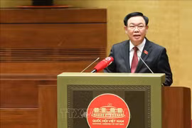 Diplomacia parlamentaria contribuye a mejorar posición de Vietnam