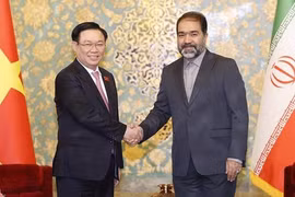 Presidente del Parlamento de Vietnam recorrió relevante provincia de Irán