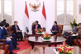 Presidente del Parlamento de Vietnam concluye con éxito gira exterior