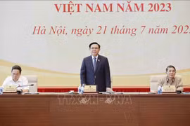 Prevén organizar el Foro Socioeconómico de Vietnam en septiembre próximo