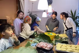 Envían felicitaciones a vietnamitas en ultramar con motivo del Tet