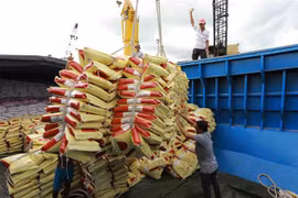 Vietnam e Indonesia se esfuerzan por aumentar el comercio bilateral a 15 mil millones de dólares