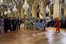 Vietnamitas en Francia se reúnen en ocasión del Año Nuevo del Gato