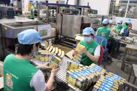 Casi seis mil nuevas empresas se crearon en Binh Duong en 10 meses