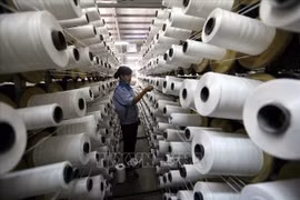 Vietnam, un destino atractivo para inversores sudcoreanos