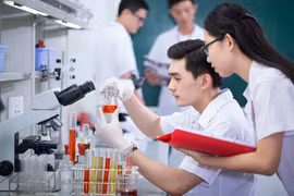 Vietnam aprueba estrategia nacional de atracción de talentos