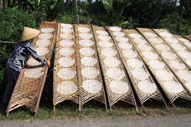 Ciudad de Da Nang atesora singular oficio de producción de papel de arroz