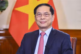 Abogan por promover la identidad diplomática del "bambú vietnamita"