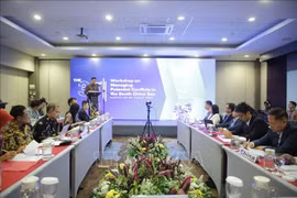 Vietnam participa en seminario sobre el Mar del Este en Indonesia