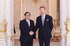 Destacan potencial para explorar nuevas áreas de cooperación entre Vietnam y Luxemburgo