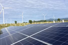 Japón, Estados Unidos y Australia apoyan a Vietnam en reducir emisiones de carbono