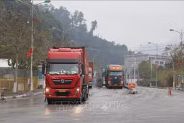 Recuperan intercambio comercial y viaje a través de puerta fronteriza entre Vietnam y China