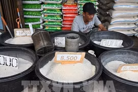 Indonesia explica su demanda de importación arrocera