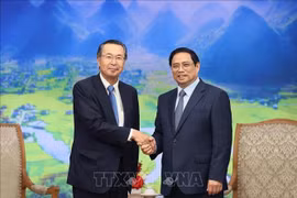 Premier vietnamita recibe a presidente de JETRO de Japón