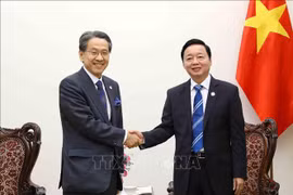 Vietnam y Japón intensifican cooperación en transición energética