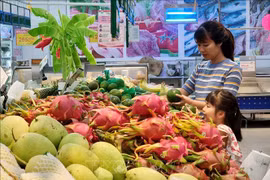 En alza ventas minoristas de bienes de consumo y servicios en 10 meses 