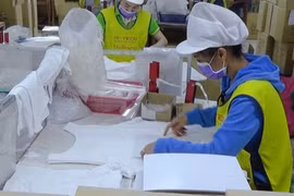 Gobierno de Laos por resolver dificultades económicas