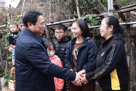 Premier de Vietnam exige garantizar un Tet seguro y feliz para pobladores