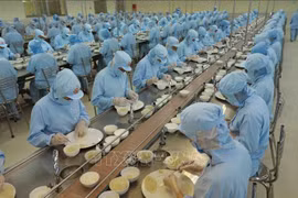 Empresas vietnamitas fomentan inversiones para exportar nidos de golondrina