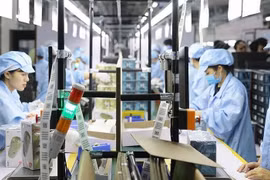 Vietnam registra casi 160 mil nuevas empresas en 2023