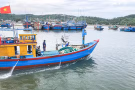 Provincia de Quang Ngai intensifica esfuerzos contra la pesca ilegal