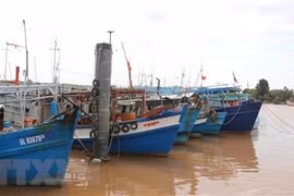 Bac Lieu despliega medidas drásticas para combatir la pesca ilegal