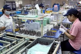 Necesita Vietnam soluciones para mantener el ritmo de capital de IED