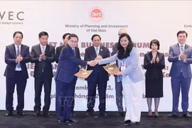 Vietnam por movilizar recursos internacionales para transformación verde