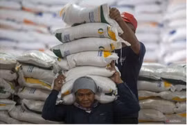 Indonesia adopta medidas para estabilizar precios de alimentos